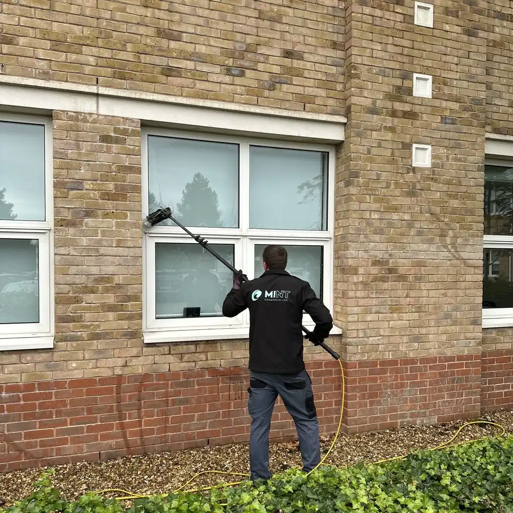 External cleaning - window cleaning